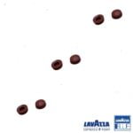 Garnitura rezervor apa pentru espressor Lavazza LB951 EP951